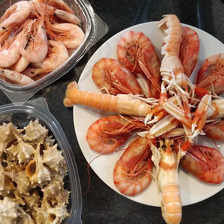 Hello Sofia * פילס